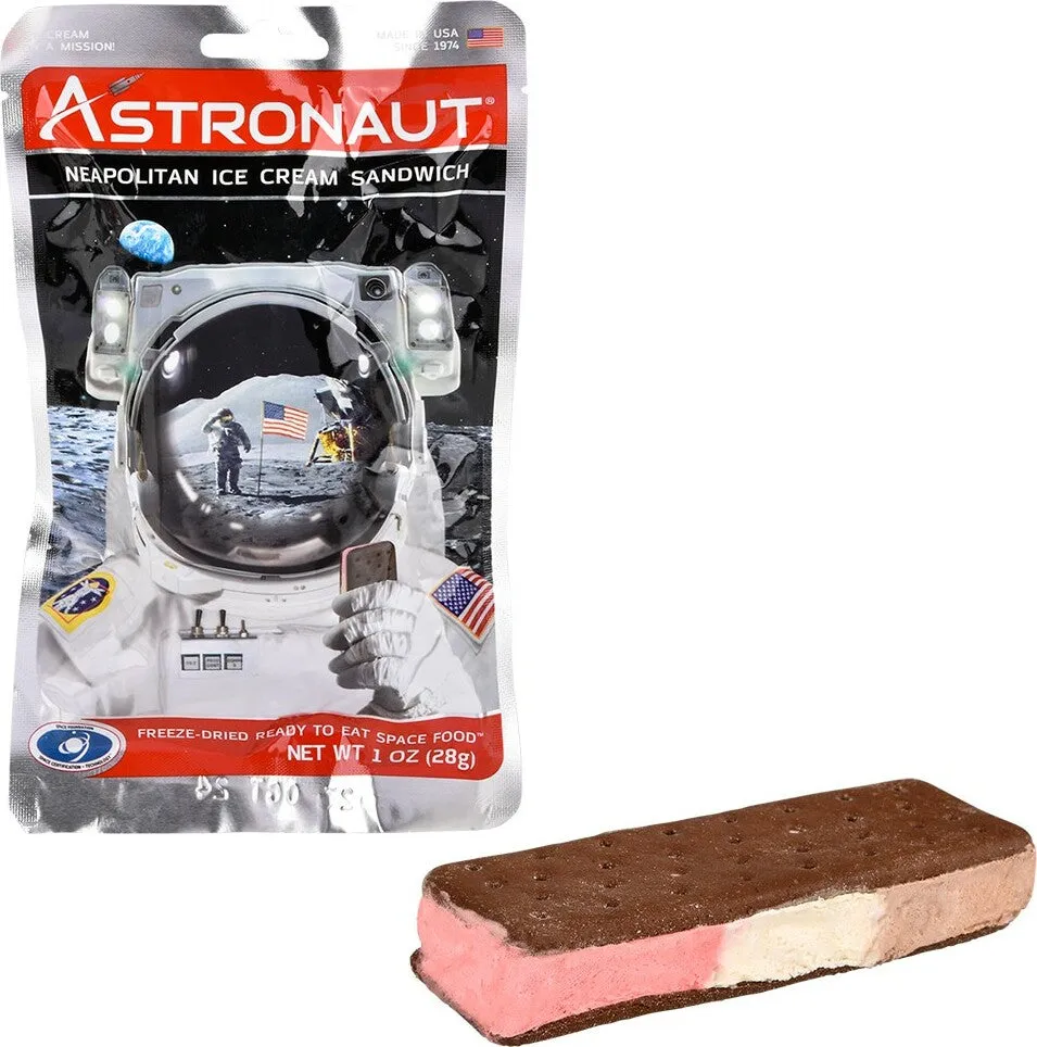 Astronaut Neapolitan Ice Cream Sandwich