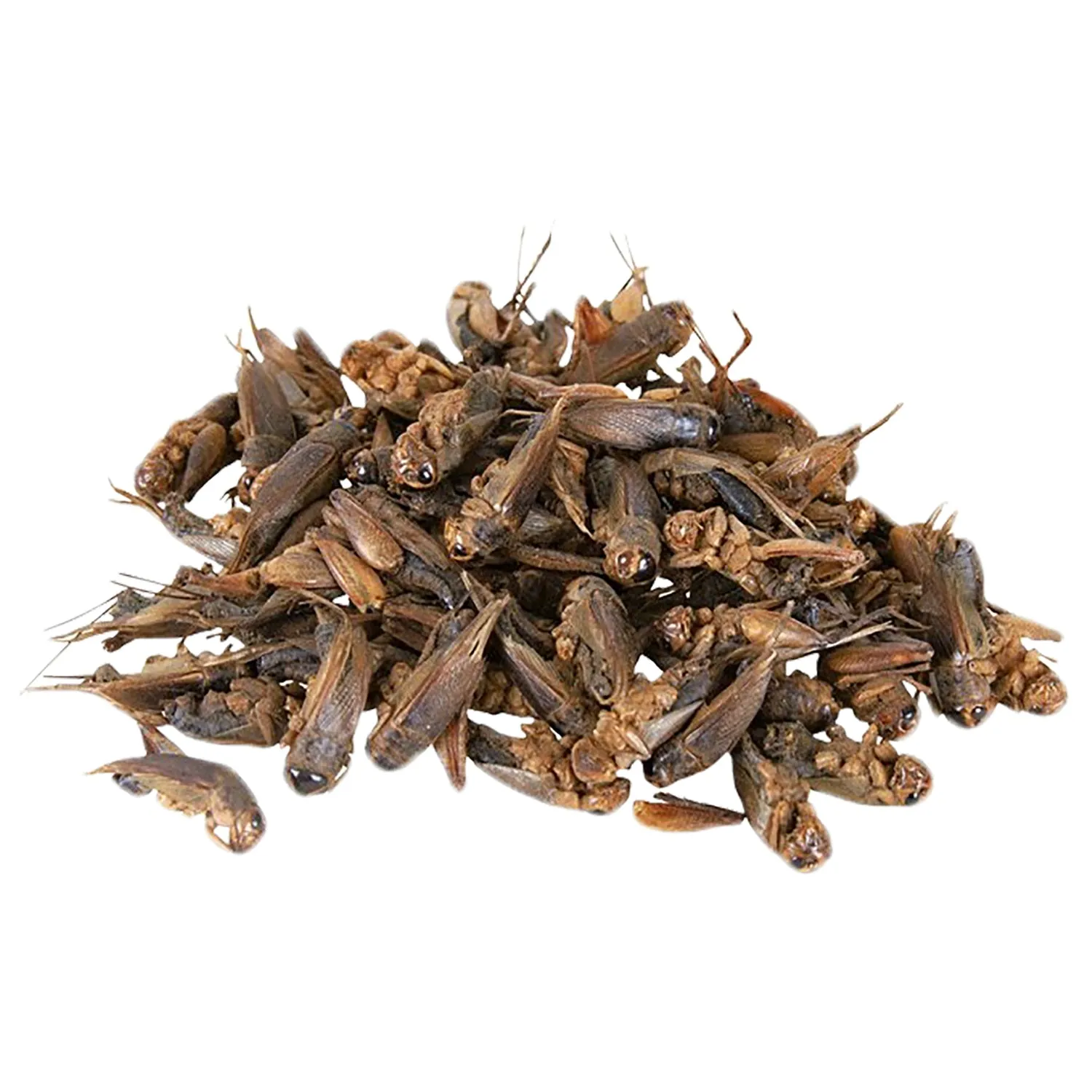 Bulk Dried Insect Trio