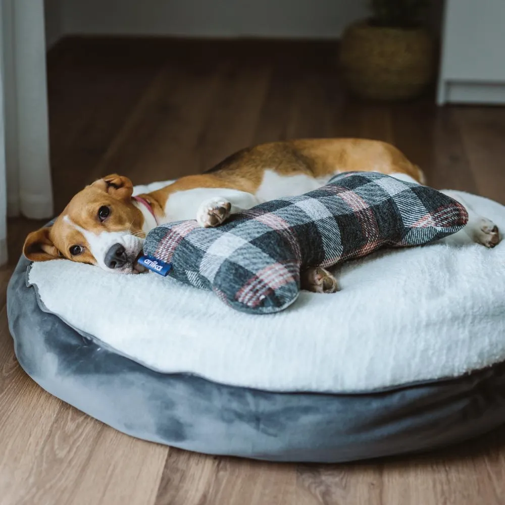 Daisy Pet Bed