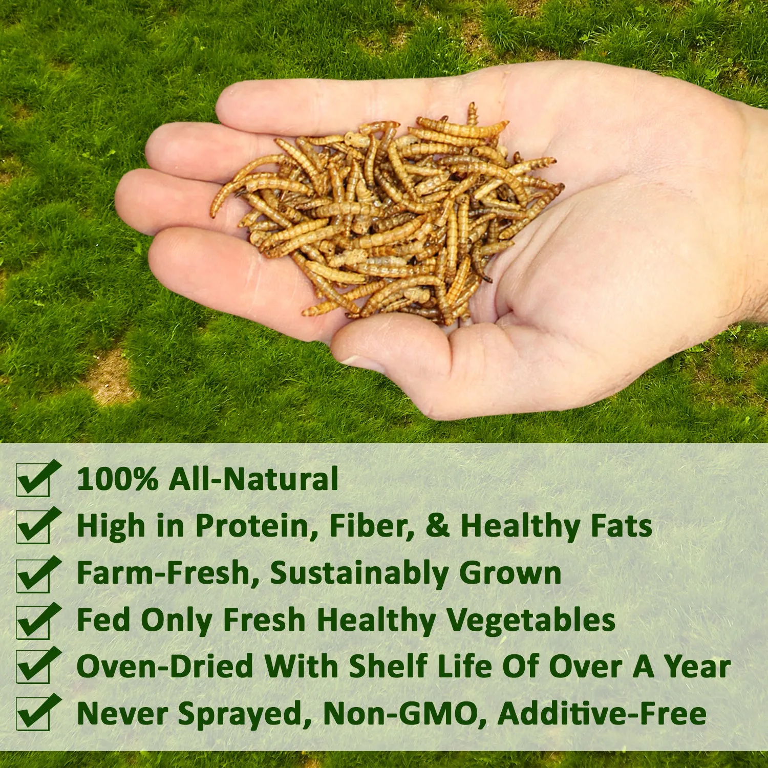 Dried Mealworms 5 lb.