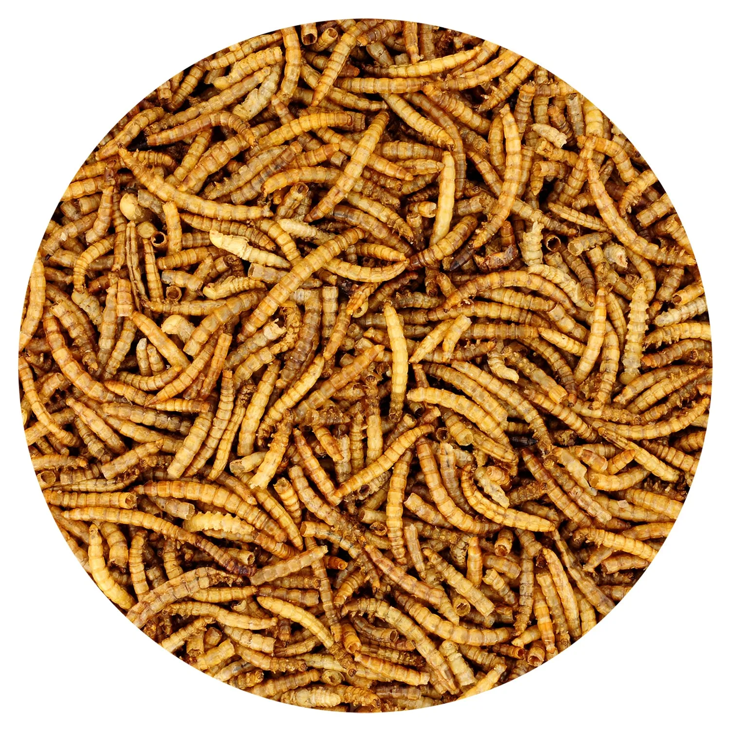 Dried Mealworms 5 lb.