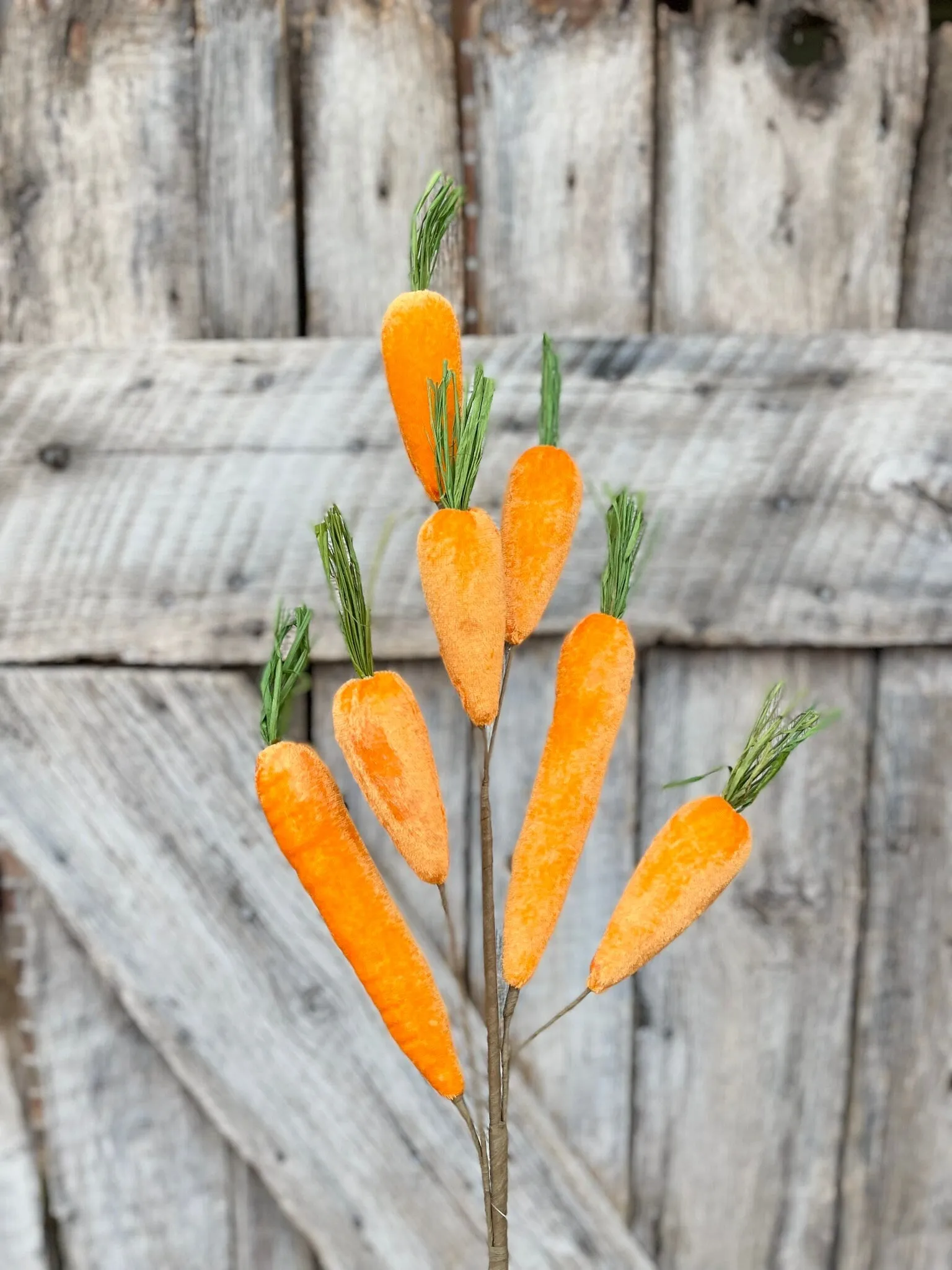 Orange Velvet Carrot Spray, 32" Carrot Spray