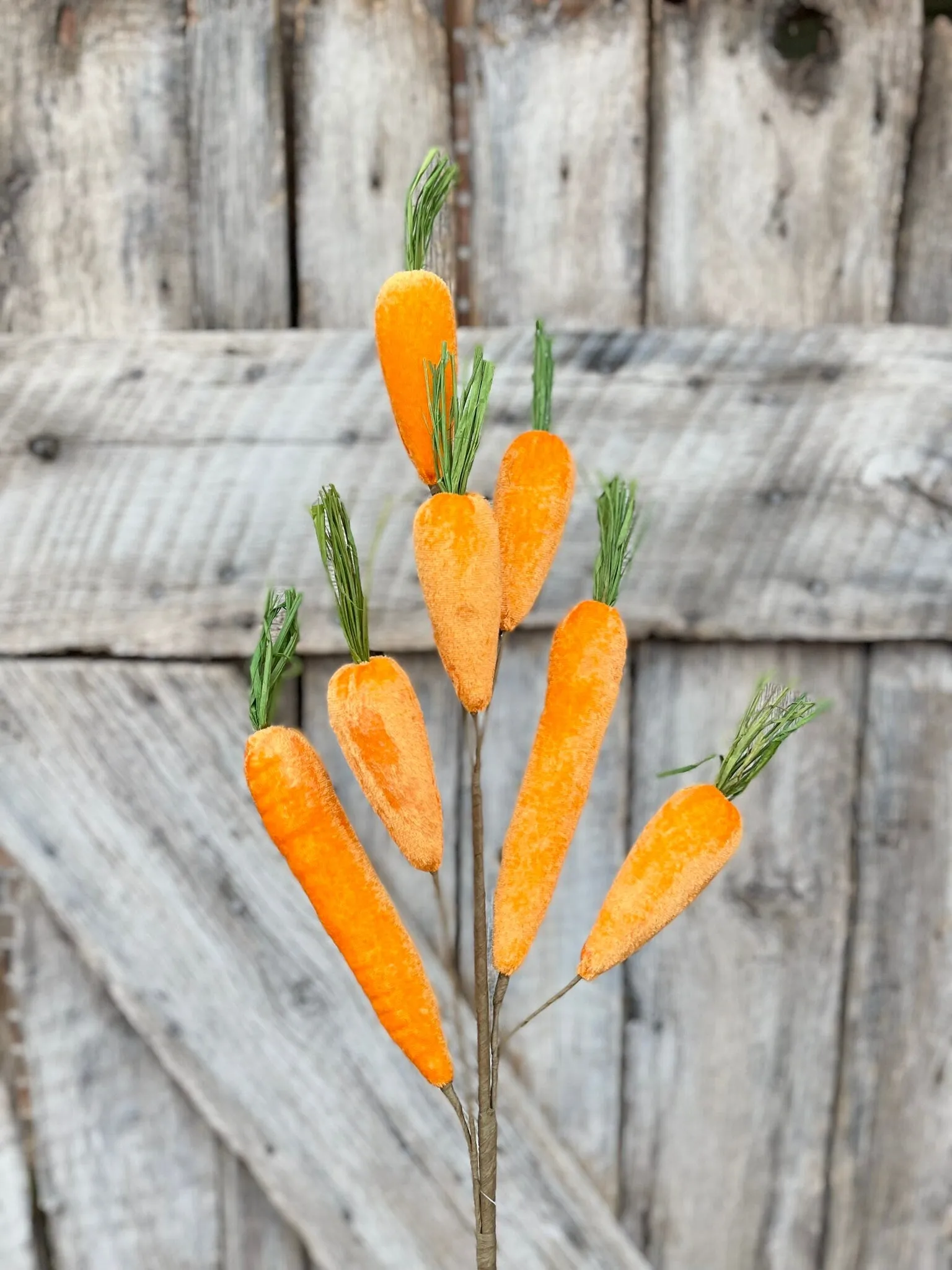 Orange Velvet Carrot Spray, 32" Carrot Spray