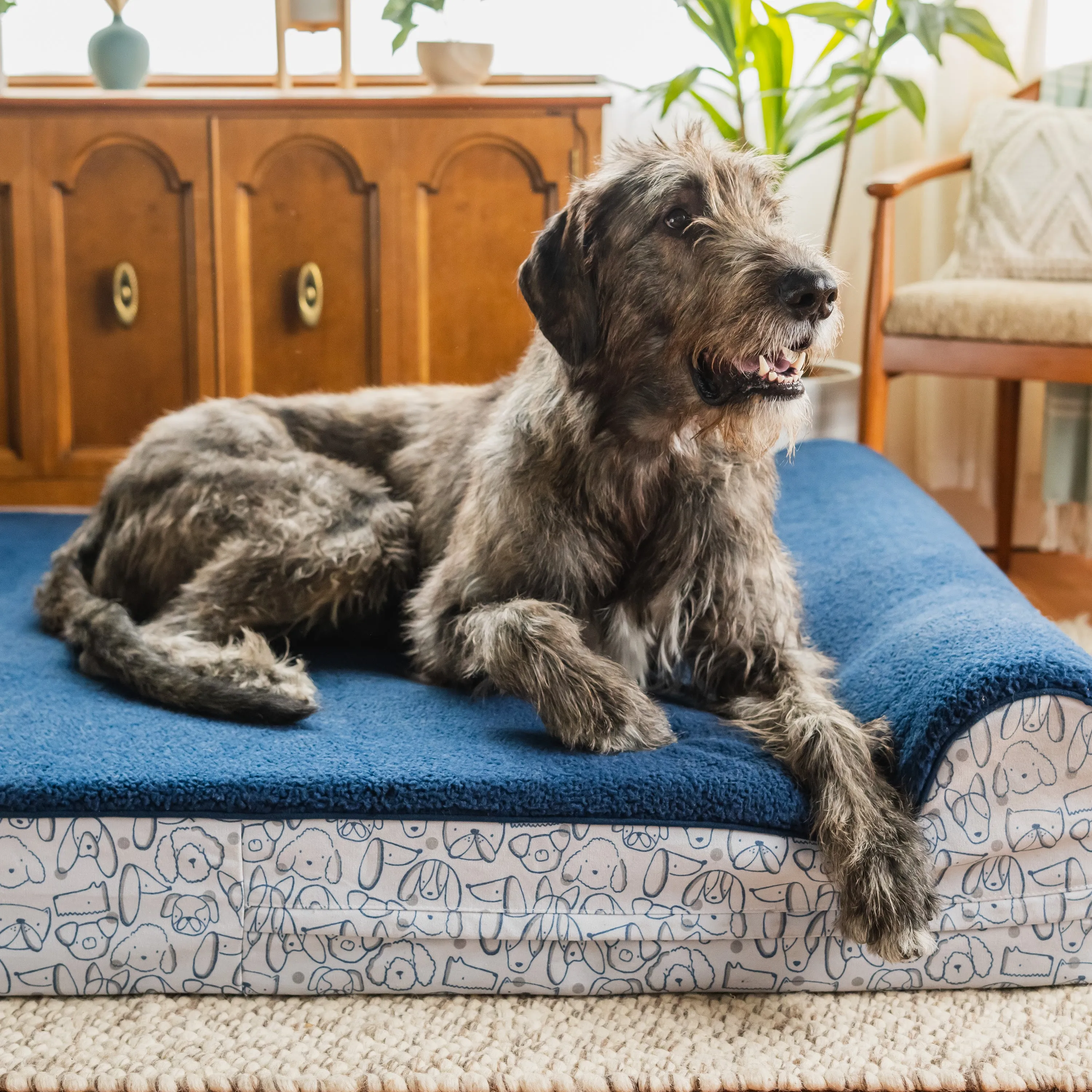 Orthopedic Pet Bed