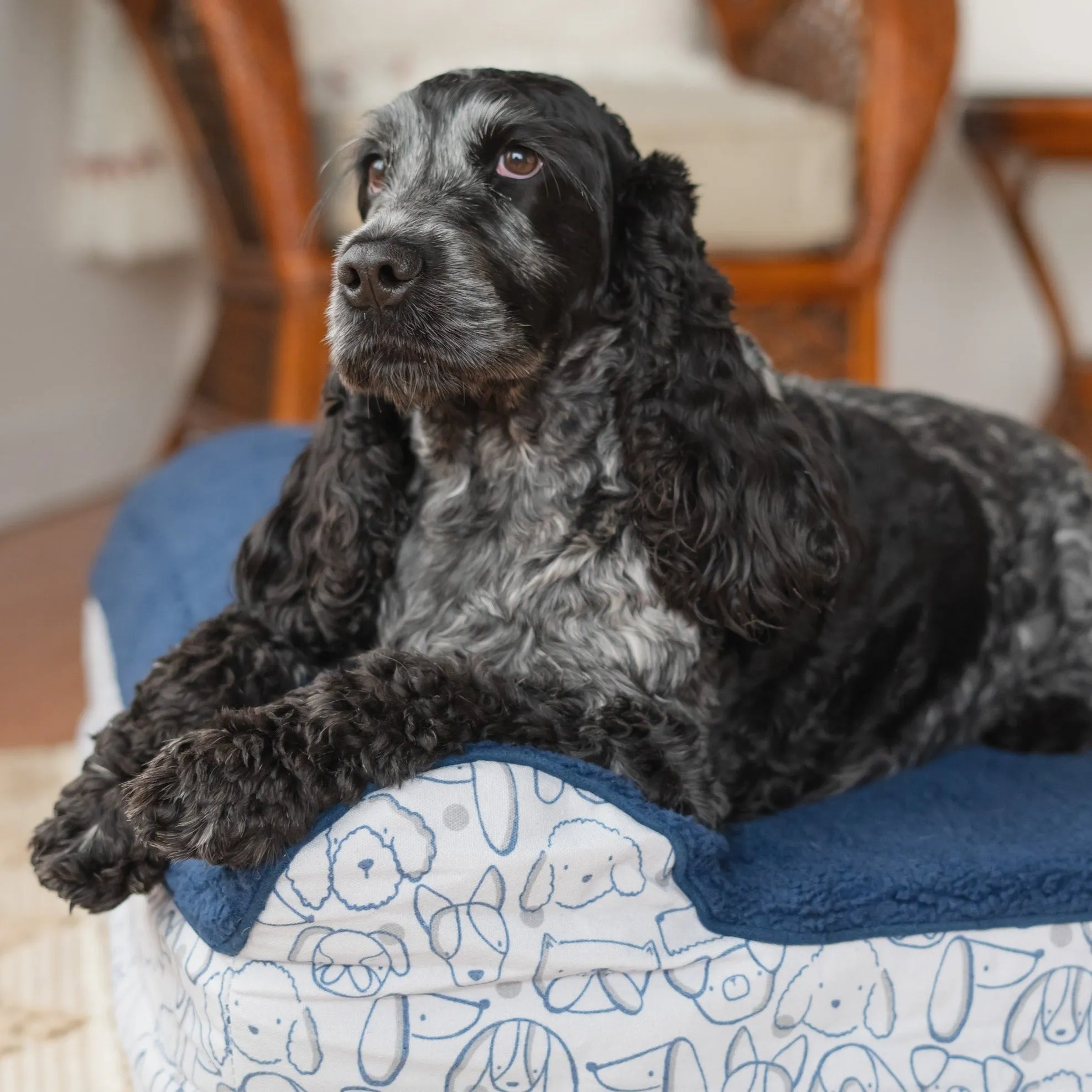 Orthopedic Pet Bed