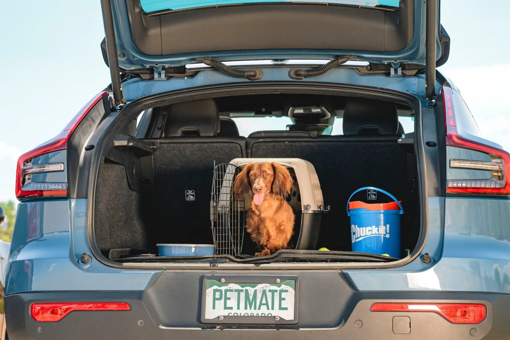 Petmate Vari Kennel