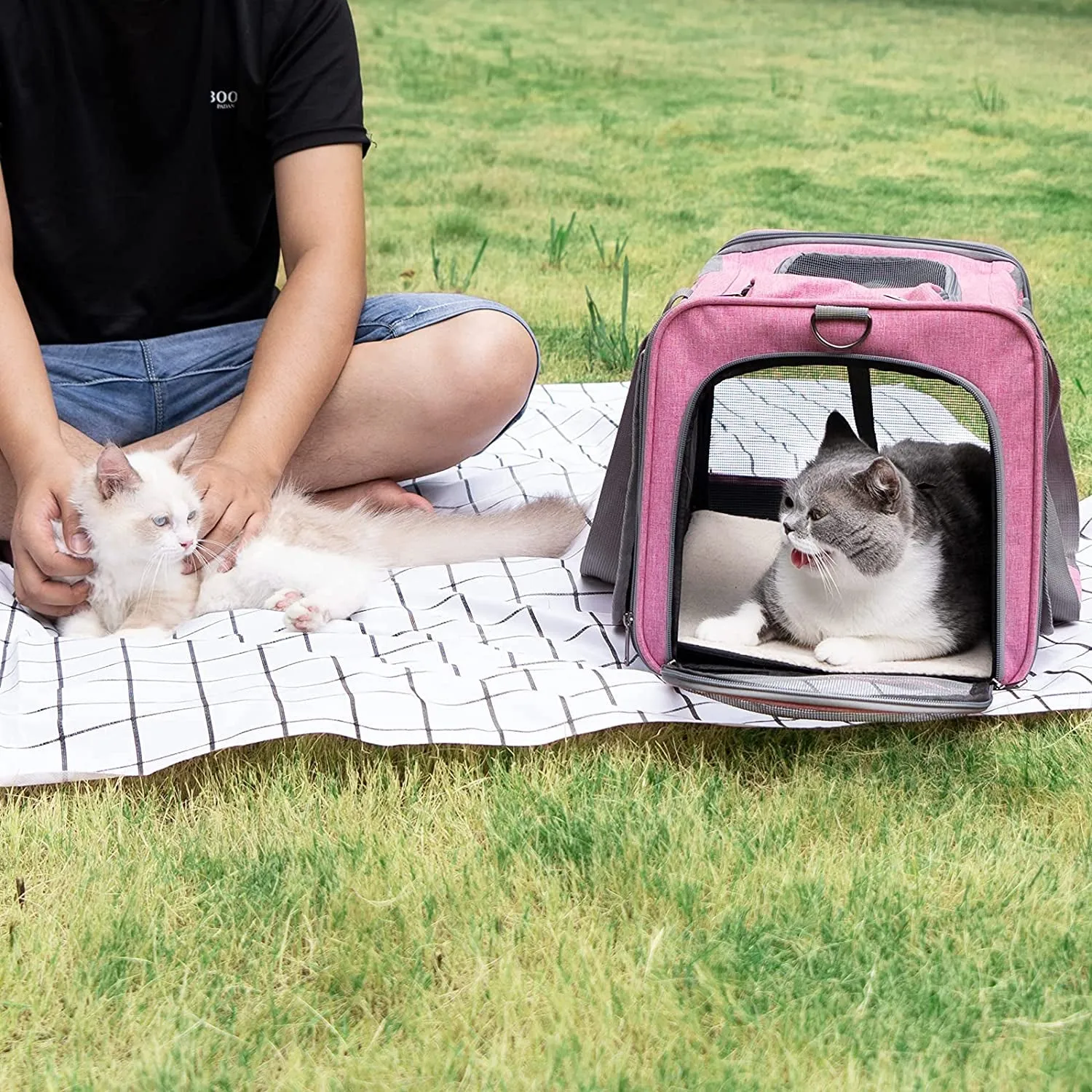 Soft-Sided Pet Carrier for Large and Medium Cats and Puppies - Travel Carrier with Privacy Protection