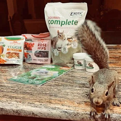 Squirrel Food Starter Package